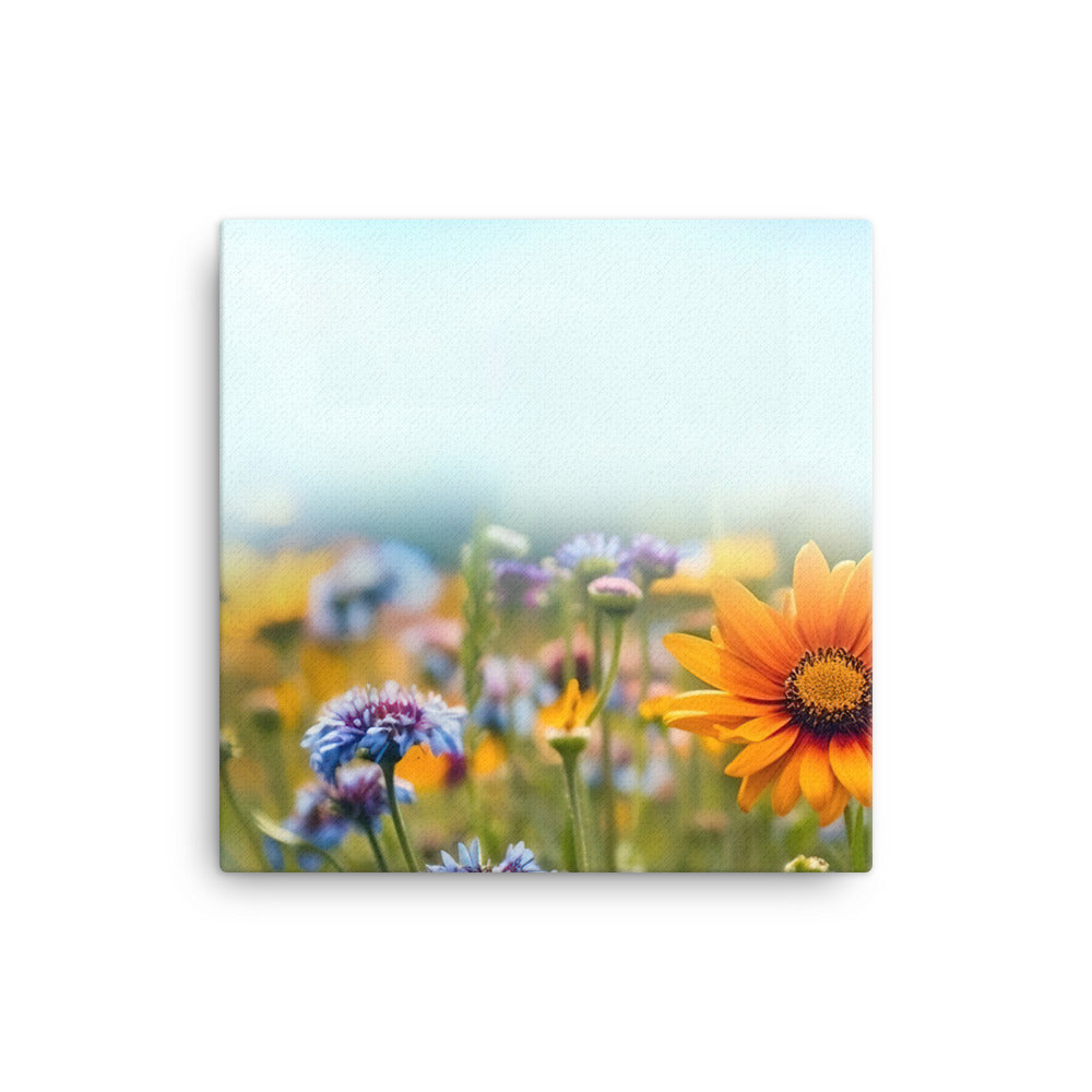 Foto von Blumen im Sonnenschein - Nahaufnahme - Leinwand camping xxx 30.5 x 30.5 cm