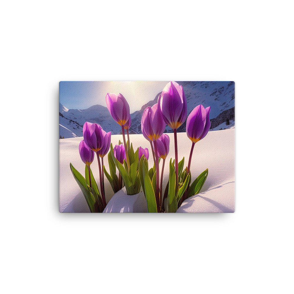 Tulpen im Schnee und in den Bergen - Blumen im Winter - Leinwand berge xxx 30.5 x 40.6 cm
