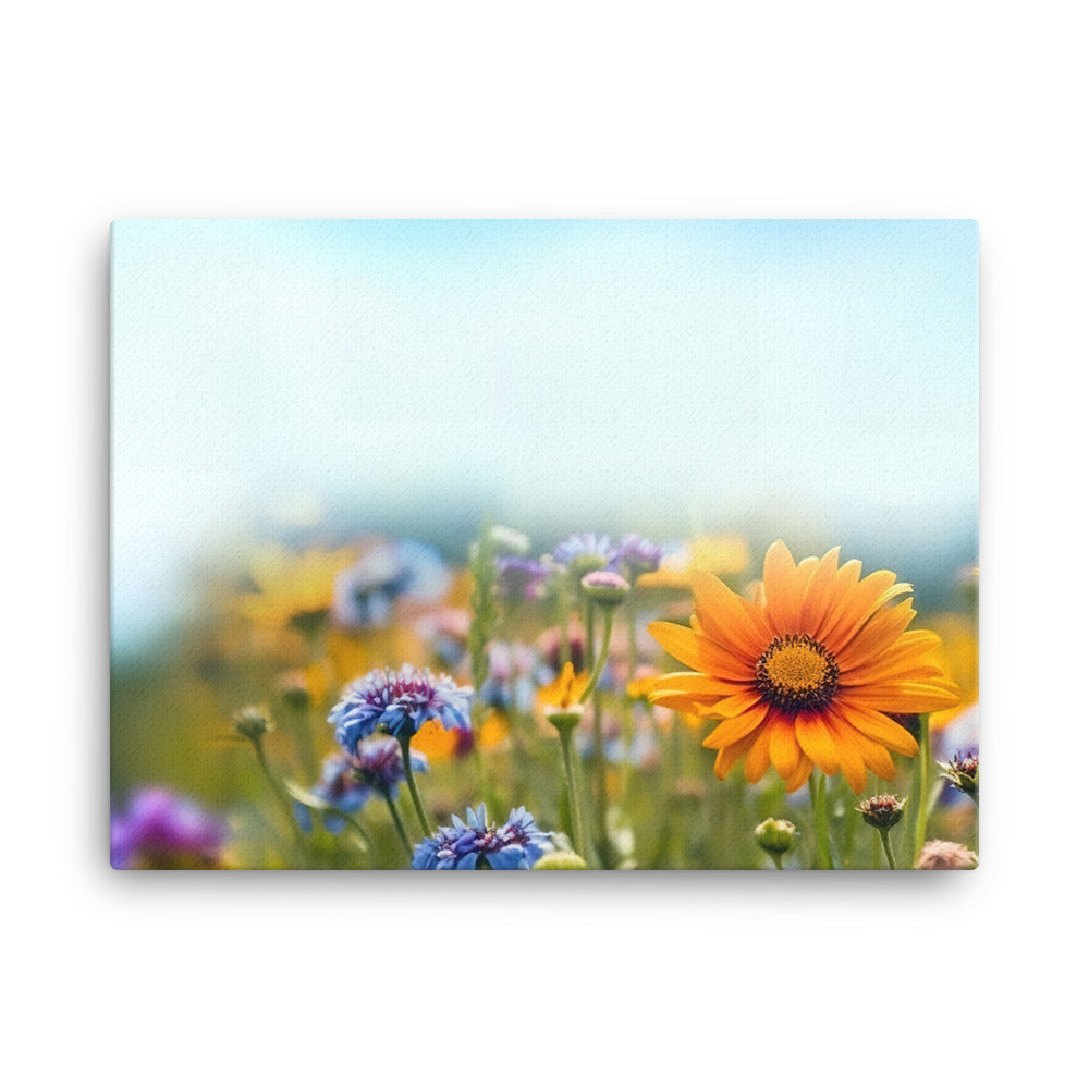 Foto von Blumen im Sonnenschein - Nahaufnahme - Leinwand camping xxx 45.7 x 61 cm