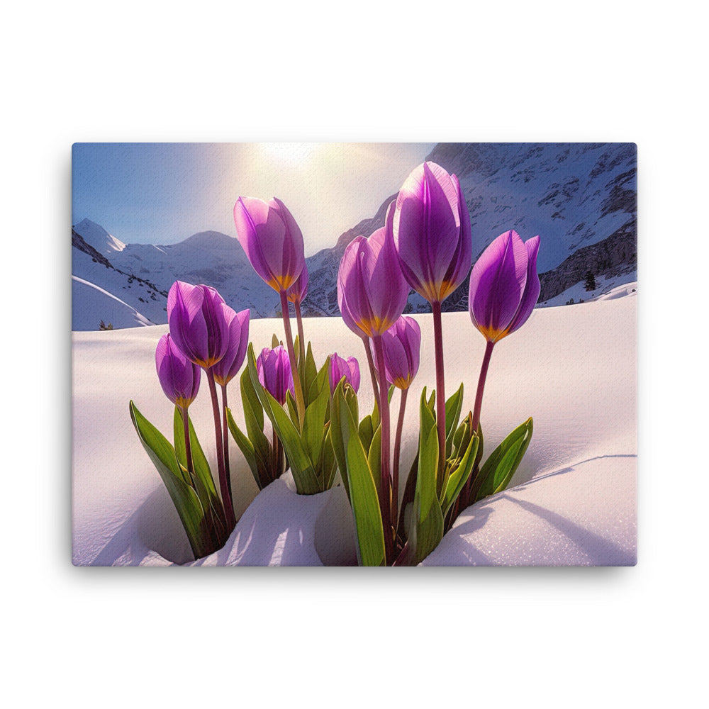 Tulpen im Schnee und in den Bergen - Blumen im Winter - Leinwand berge xxx 45.7 x 61 cm