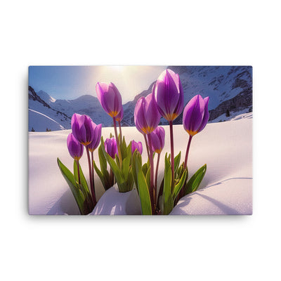 Tulpen im Schnee und in den Bergen - Blumen im Winter - Leinwand berge xxx 61 x 91.4 cm