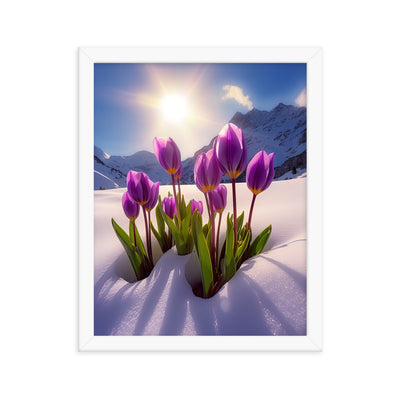 Tulpen im Schnee und in den Bergen - Blumen im Winter - Premium Poster mit Rahmen berge xxx 27.9 x 35.6 cm