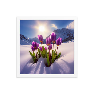 Tulpen im Schnee und in den Bergen - Blumen im Winter - Premium Poster mit Rahmen berge xxx 35.6 x 35.6 cm