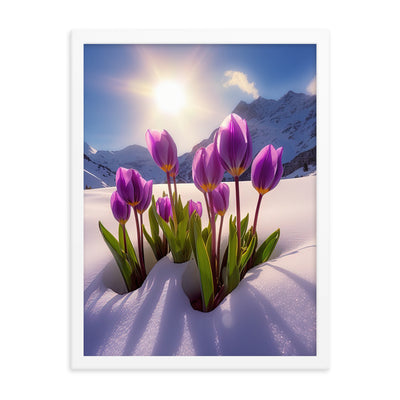 Tulpen im Schnee und in den Bergen - Blumen im Winter - Premium Poster mit Rahmen berge xxx 45.7 x 61 cm