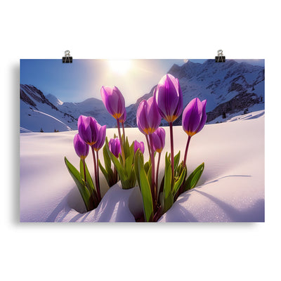 Tulpen im Schnee und in den Bergen - Blumen im Winter - Poster berge xxx 50.8 x 76.2 cm