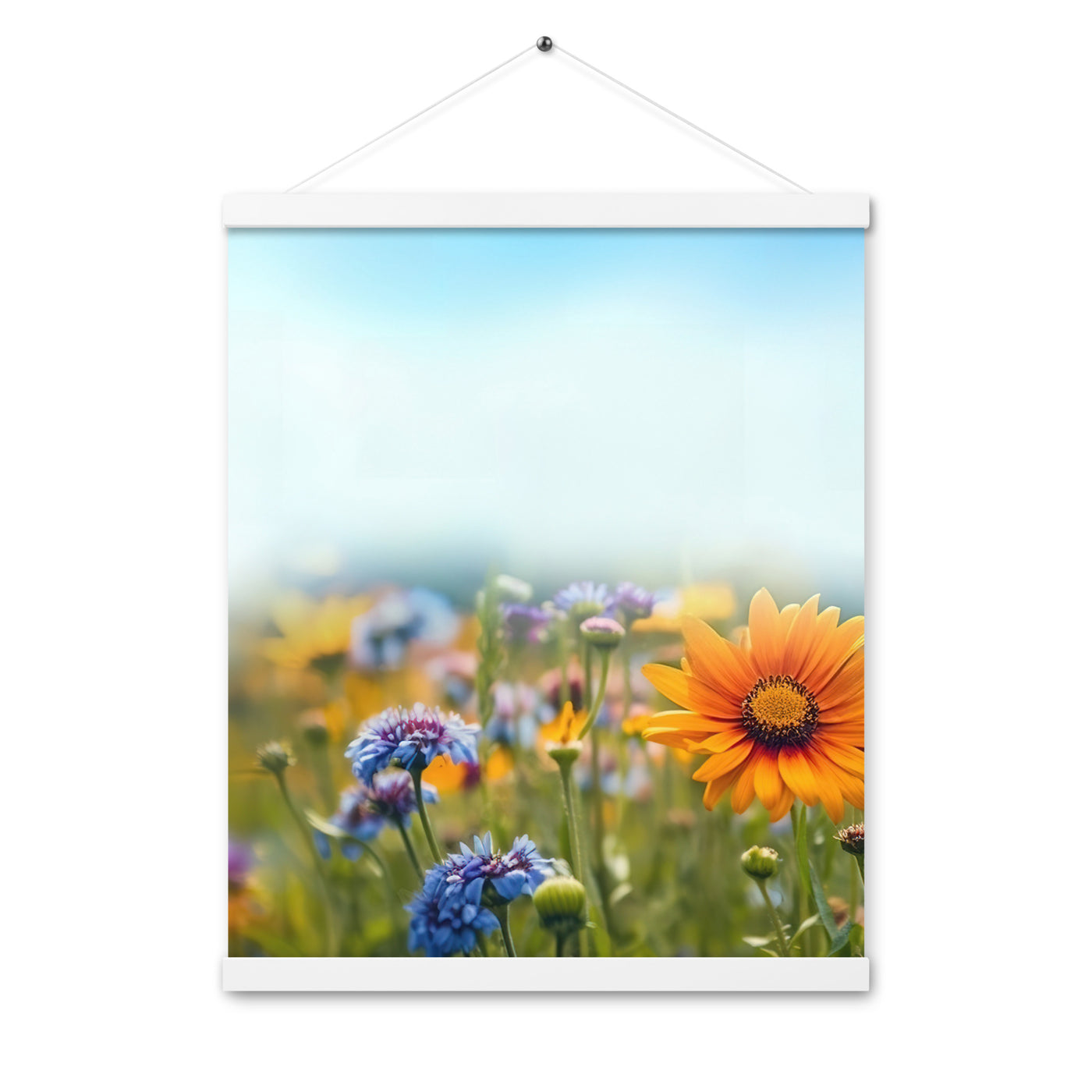 Foto von Blumen im Sonnenschein - Nahaufnahme - Premium Poster mit Aufhängung camping xxx 40.6 x 50.8 cm