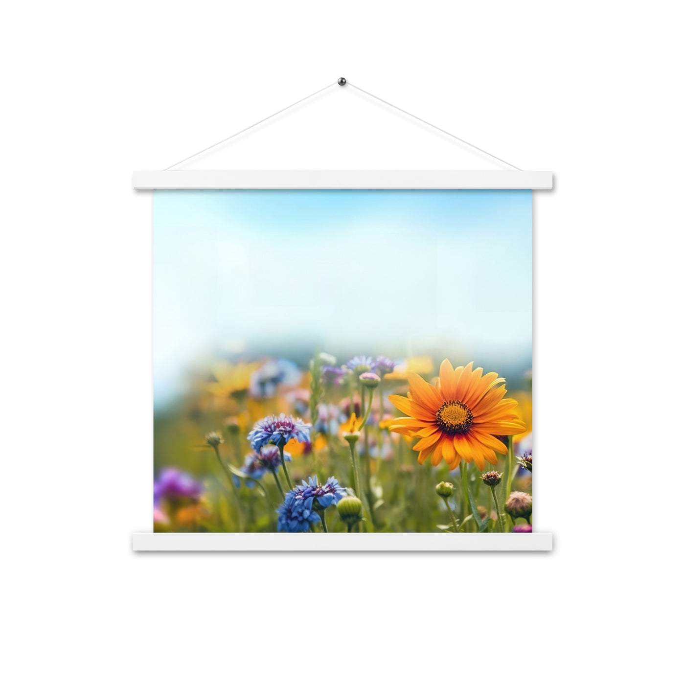 Foto von Blumen im Sonnenschein - Nahaufnahme - Premium Poster mit Aufhängung camping xxx 45.7 x 45.7 cm