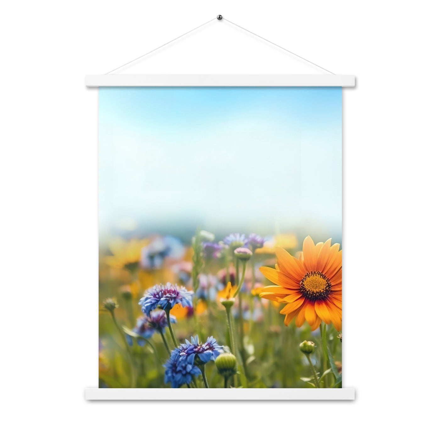 Foto von Blumen im Sonnenschein - Nahaufnahme - Premium Poster mit Aufhängung camping xxx 45.7 x 61 cm