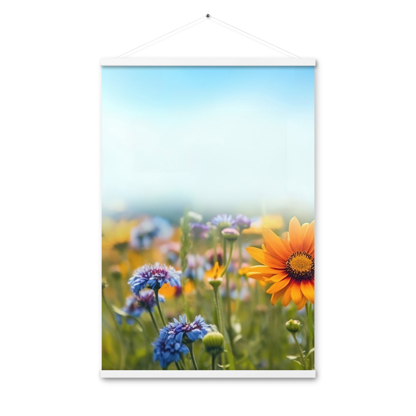 Foto von Blumen im Sonnenschein - Nahaufnahme - Premium Poster mit Aufhängung camping xxx 61 x 91.4 cm