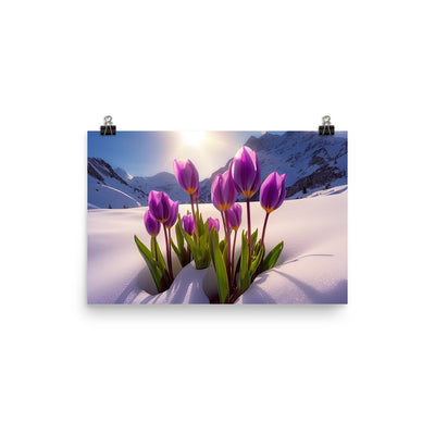 Tulpen im Schnee und in den Bergen - Blumen im Winter - Premium Poster (glänzend) berge xxx 30.5 x 45.7 cm
