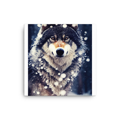 Wolf im Schnee - Episches Foto - Dünne Leinwand camping xxx 30.5 x 30.5 cm