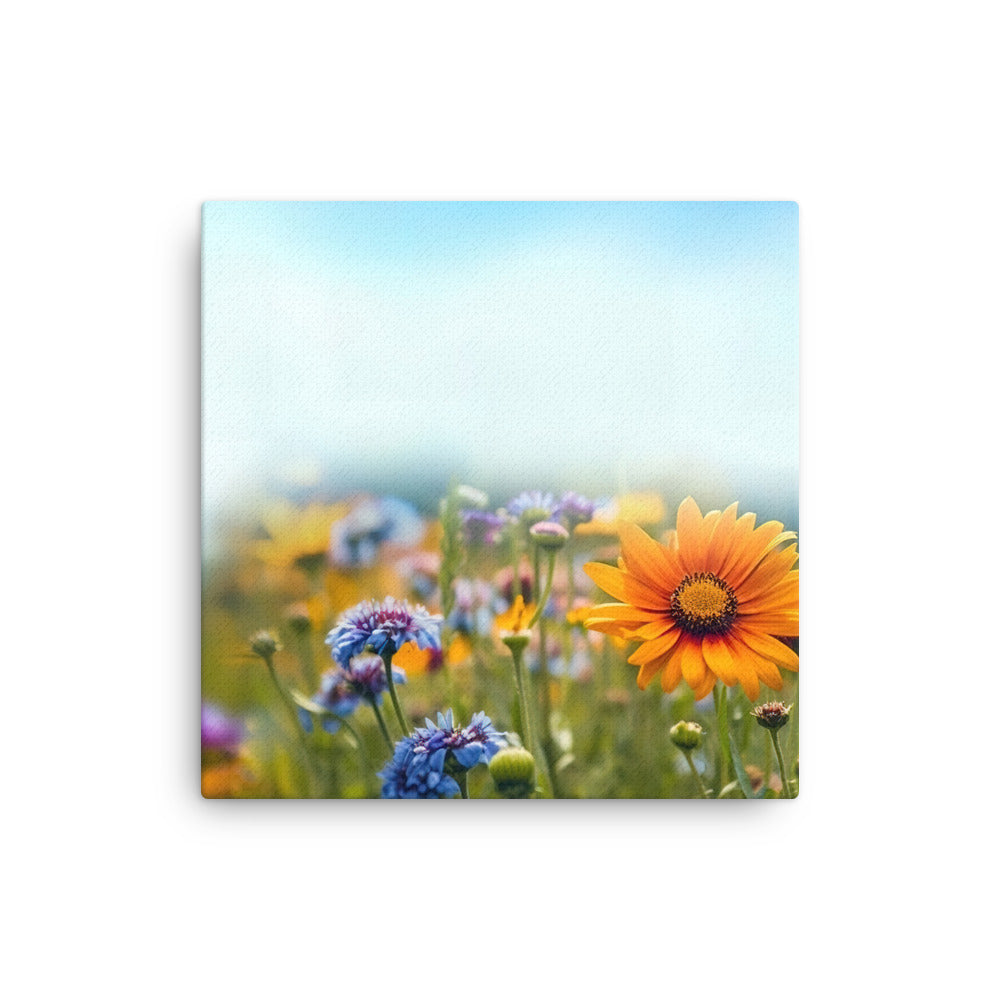 Foto von Blumen im Sonnenschein - Nahaufnahme - Dünne Leinwand camping xxx 40.6 x 40.6 cm