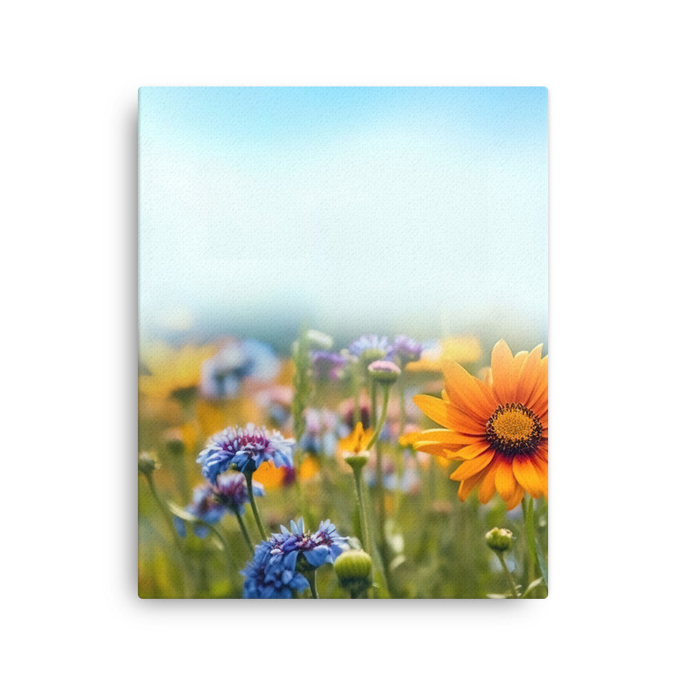 Foto von Blumen im Sonnenschein - Nahaufnahme - Dünne Leinwand camping xxx 40.6 x 50.8 cm